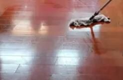 辦公區(qū)域保潔要注意哪些方面呢？