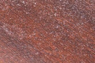 對于家里灰塵的清理，有什么方法嗎？